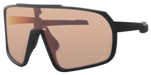 POLRX7072 – Bild 2