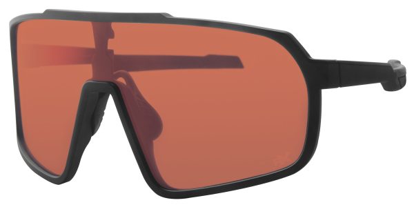 POLRX7072 – Bild 3
